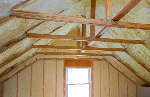 Best Cellulose Insulation in Neptune Beach, FL