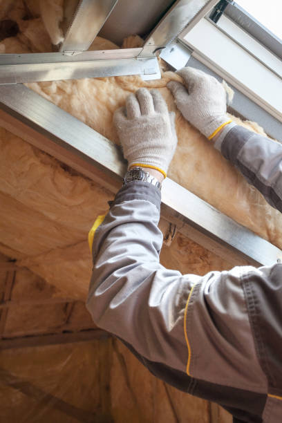 Best Energy Efficiency Insulation in Neptune Beach, FL