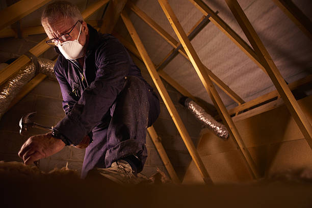 Reliable Neptune Beach, FL Insulation Contractor Solutions