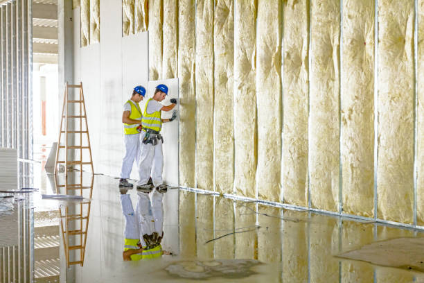 Best Commercial Insulation in Neptune Beach, FL